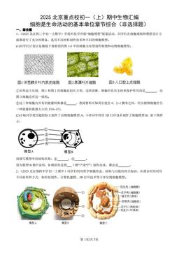 2025北京重点校初一（上）期中生物汇编：细胞是生命活动的基本单位章节综合（非选择题）-答案