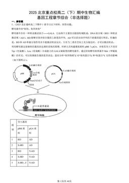 2025北京重点校高二（下）期中生物汇编：基因工程章节综合（非选择题）-答案