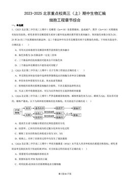 2023-2025北京重点校高三（上）期中生物汇编：细胞工程章节综合-答案