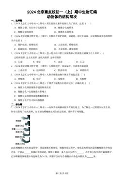 2024北京重点校初一（上）期中生物汇编：动物体的结构层次-答案