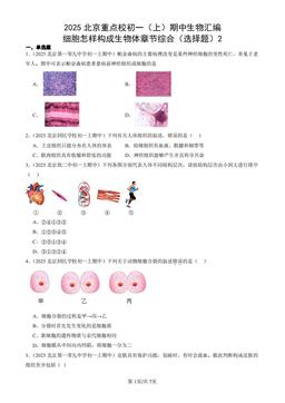 2025北京重点校初一（上）期中生物汇编：细胞怎样构成生物体章节综合（选择题）2-答案