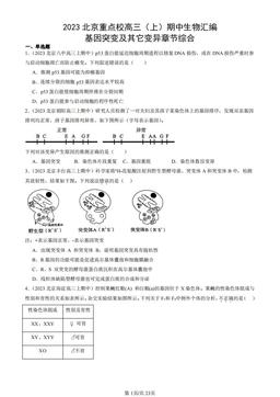 2023北京重点校高三（上）期中生物汇编：基因突变及其它变异章节综合-答案