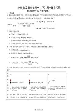 2025北京重点校高一（下）期末化学汇编：铁的多样性（鲁科版）-答案