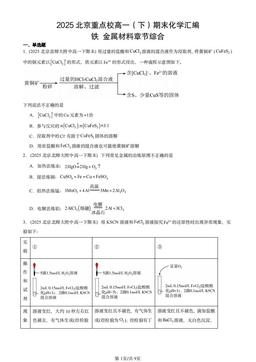 2025北京重点校高一（下）期末化学汇编：铁 金属材料章节综合-答案