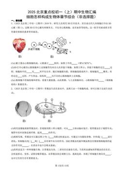 2025北京重点校初一（上）期中生物汇编：细胞怎样构成生物体章节综合（非选择题）-答案