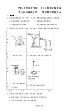 2025北京重点校高一（上）期中化学汇编：海水中的重要元素——钠和氯章节综合4-答案