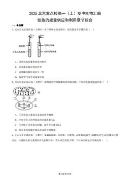 2025北京重点校高一（上）期中生物汇编：细胞的能量供应和利用章节综合-答案