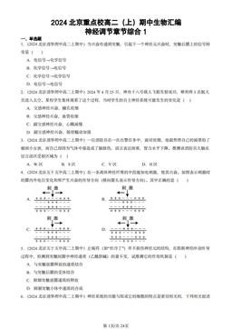 2024北京重点校高二（上）期中生物汇编：神经调节章节综合1-答案