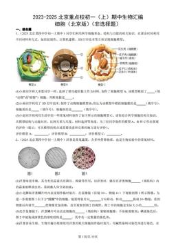 2023-2025北京重点校初一（上）期中生物汇编：细胞（北京版）（非选择题）-答案