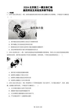 2024北京高三一模生物汇编：基因突变及其他变异章节综合-答案