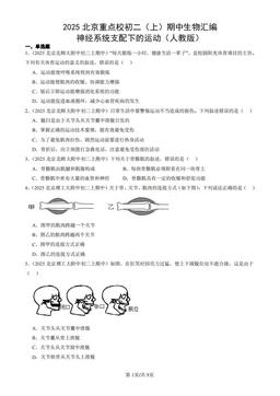 2025北京重点校初二（上）期中生物汇编：神经系统支配下的运动（人教版）-答案