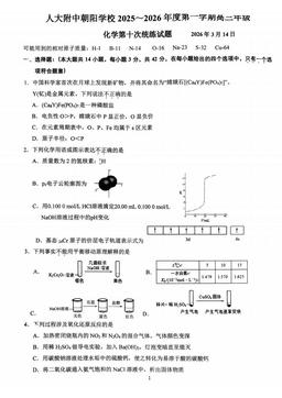 2026北京人大附中朝阳学校高三（下）统练十化学-答案