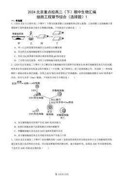 2024北京重点校高二（下）期中生物汇编：细胞工程章节综合（选择题）1-答案