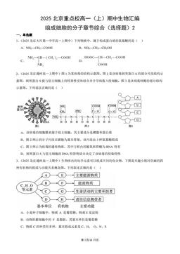 2025北京重点校高一（上）期中生物汇编：组成细胞的分子章节综合（选择题）2-答案