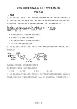 2025北京重点校高二（上）期中生物汇编：免疫失调-答案