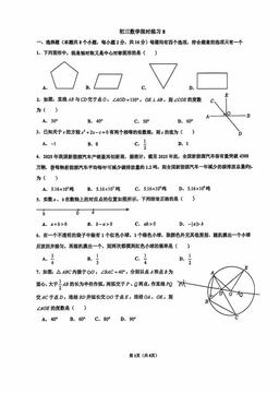 2026北京人大附中初三（下）统练八数学-试题