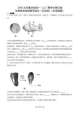 2025北京重点校初一（上）期中生物汇编：生物体的结构章节综合（北京版）（非选择题）-答案