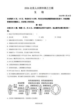2026北京人大附中高三三模生物（教师版）-答案