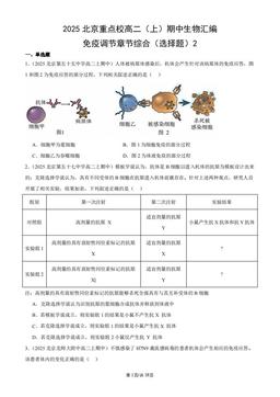 2025北京重点校高二（上）期中生物汇编：免疫调节章节综合（选择题）2-答案