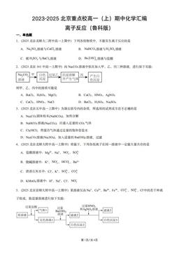 2023-2025北京重点校高一（上）期中化学汇编：离子反应（鲁科版）-答案