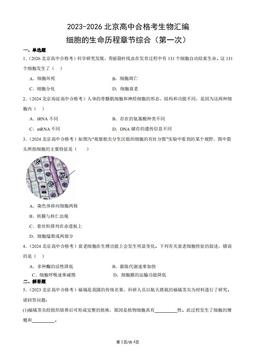 2023-2026北京高中合格考生物汇编：细胞的生命历程章节综合（第一次）-答案