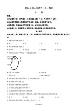 2026北京大兴初二（上）期末生物（教师版）-答案