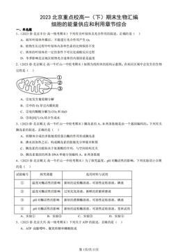 2023北京重点校高一（下）期末生物汇编：细胞的能量供应和利用章节综合-答案
