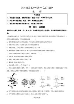 2025北京五十中高一（上）期中生物（教师版）-答案