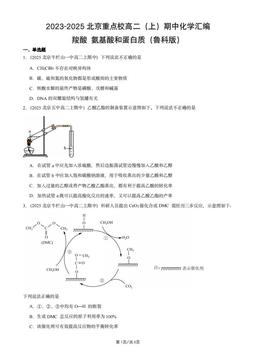 2023-2025北京重点校高二（上）期中化学汇编：羧酸_氨基酸和蛋白质（鲁科版）-答案