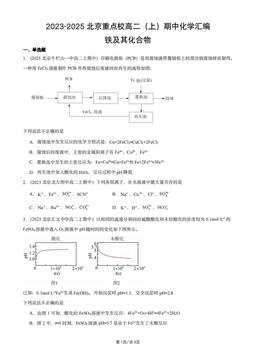 2023-2025北京重点校高二（上）期中化学汇编：铁及其化合物-答案