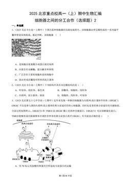2025北京重点校高一（上）期中生物汇编：细胞器之间的分工合作（选择题）2-答案