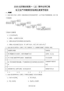 2025北京重点校高一（上）期中化学汇编：化工生产中重要的非金属元素章节综合-答案