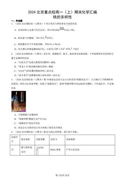 2024北京重点校高一（上）期末化学汇编：铁的多样性-答案