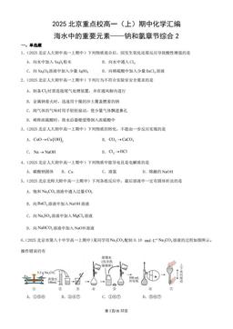 2025北京重点校高一（上）期中化学汇编：海水中的重要元素——钠和氯章节综合2-答案