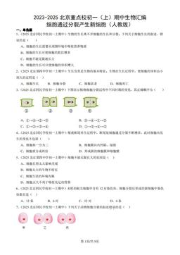 2023-2025北京重点校初一（上）期中生物汇编：细胞通过分裂产生新细胞（人教版）-答案
