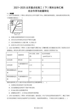 2021-2025北京重点校高二（下）期末生物汇编：光合作用与能量转化-答案