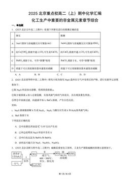 2025北京重点校高二（上）期中化学汇编：化工生产中重要的非金属元素章节综合-答案