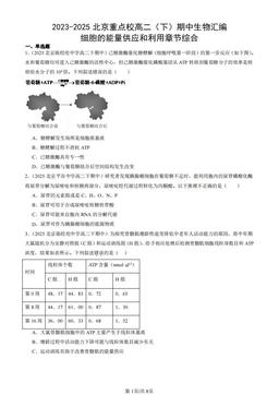 2023-2025北京重点校高二（下）期中生物汇编：细胞的能量供应和利用章节综合-答案