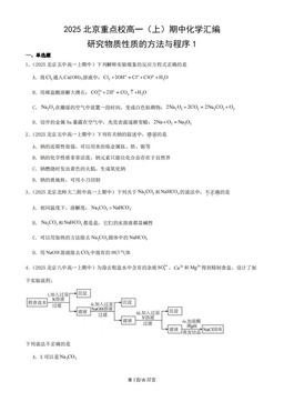 2025北京重点校高一（上）期中化学汇编：研究物质性质的方法与程序1-答案