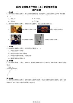 2024北京重点校初二（上）期末物理汇编：光的反射-答案