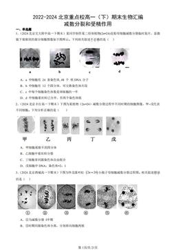 2022-2024北京重点校高一（下）期末生物汇编：减数分裂和受精作用-答案