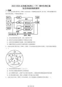 2023-2025北京重点校高二（下）期中生物汇编：生态系统的物质循环-答案
