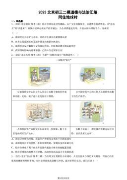 2023北京初三二模道德与法治汇编：同住地球村-答案