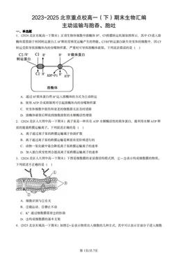 2023-2025北京重点校高一（下）期末生物汇编：主动运输与胞吞、胞吐-答案
