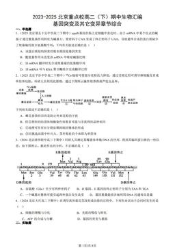 2023-2025北京重点校高二（下）期中生物汇编：基因突变及其它变异章节综合-答案