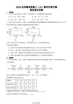 2023北京重点校高二（上）期中化学汇编：铁及其化合物-答案