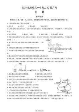 2025北京顺义一中高二12月月考生物（教师版）-答案