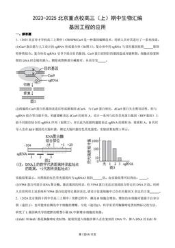 2023-2025北京重点校高三（上）期中生物汇编：基因工程的应用-答案