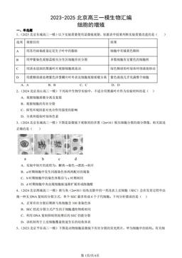 2023-2025北京高三一模生物汇编：细胞的增殖-答案