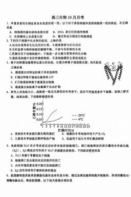 2025北京广渠门中学高三10月月考生物（教师版）-答案